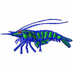 Shrimp Embroidery Design 1